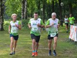 estafette deel 1 - 2017 - 500.jpg